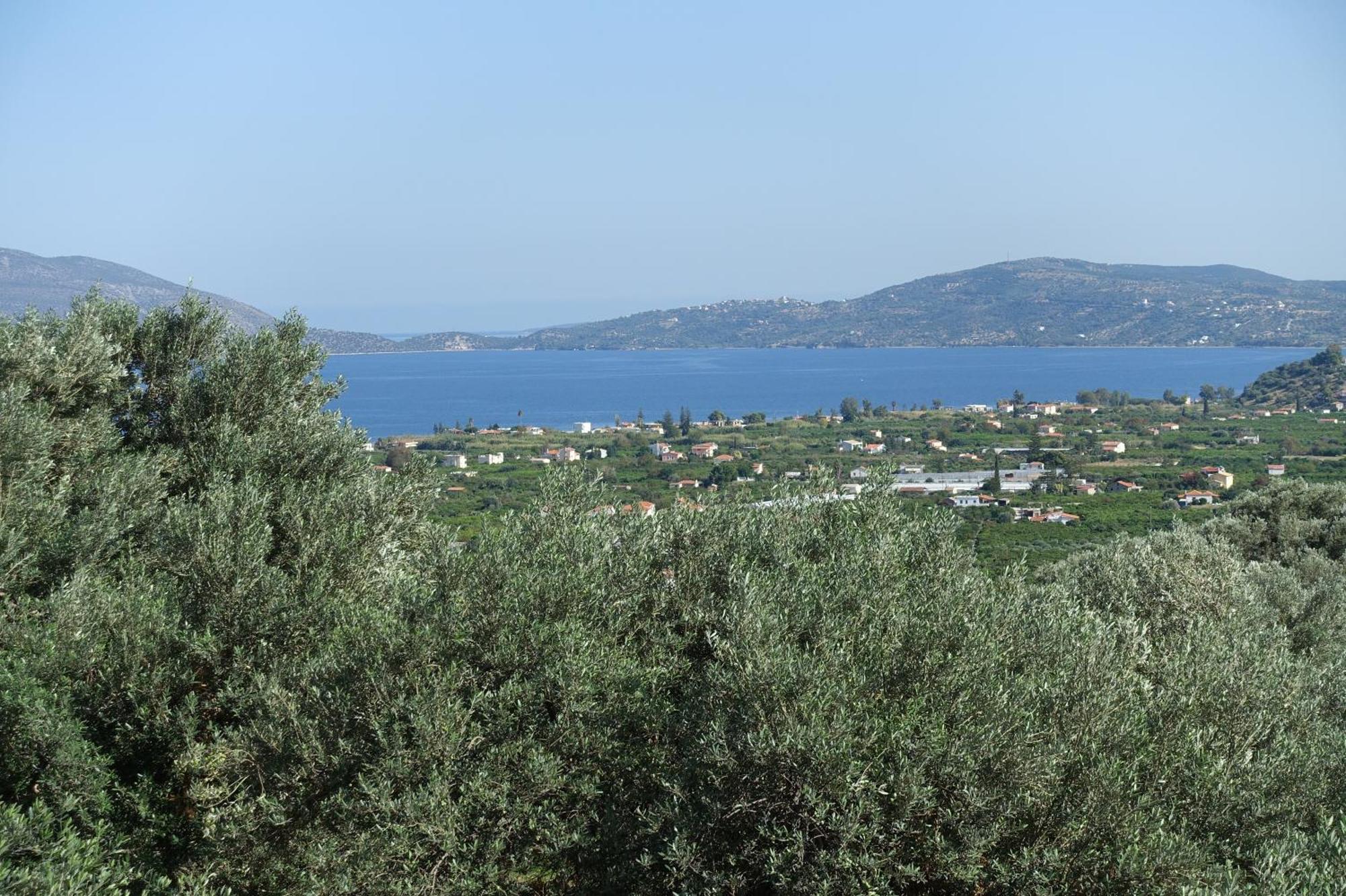In In Kalloni Direkt Am * Kalloni (Peloponnese)